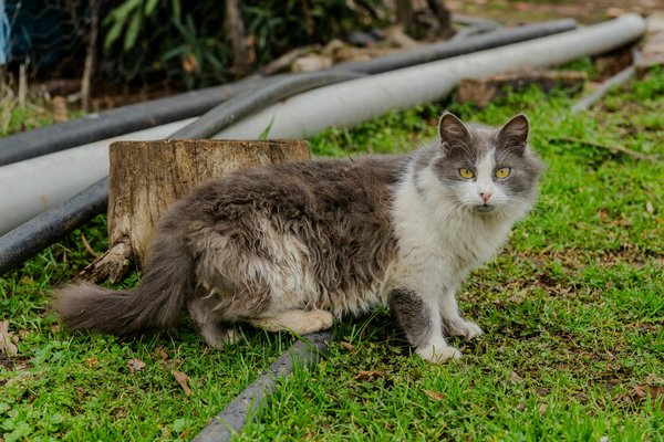 Comment les seniors peuvent-ils intégrer des exercices d'équilibre dans leur routine quotidienne pour prévenir les chutes?