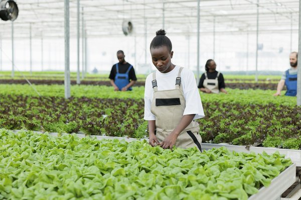 Comment la méthode Feldenkrais peut-elle aider les patients atteints de douleurs chroniques?